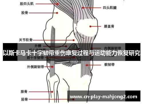 以斯卡马卡十字韧带重伤康复过程与运动能力恢复研究