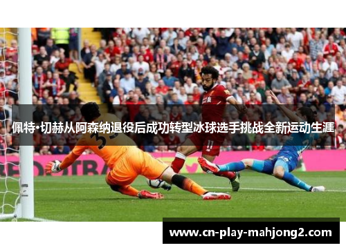 佩特·切赫从阿森纳退役后成功转型冰球选手挑战全新运动生涯